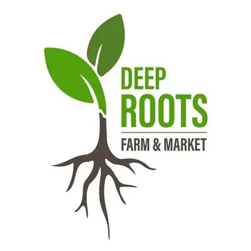 logo_deeproots https://navigatesmallbusiness.ca/wp-content/uploads/2025/09/logo_deeproots.jpg